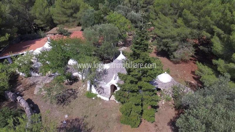 Property with trulli for sale in Ceglie Messapica.14L2087IMG2 ipu37429-14L2087IMG2.