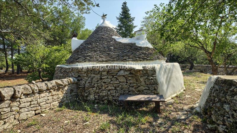 Property with trulli for sale in Ceglie Messapica.14L2087IMG25 ipu37429-14L2087IMG25.