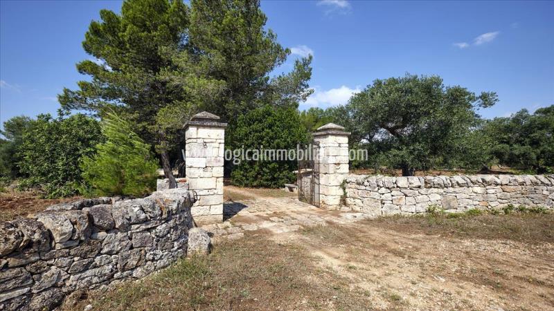 Property with trulli for sale in Ceglie Messapica.14L2087IMG29 ipu37429-14L2087IMG29.