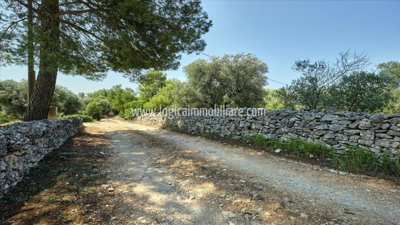 Property with trulli for sale in Ceglie Messapica.14L2087IMG30 ipu37429-14L2087IMG30.