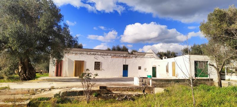 Details of Traditional 3-Bedroom Apulian Country House, Ceglie Messapica, Brindisi - ipu38182