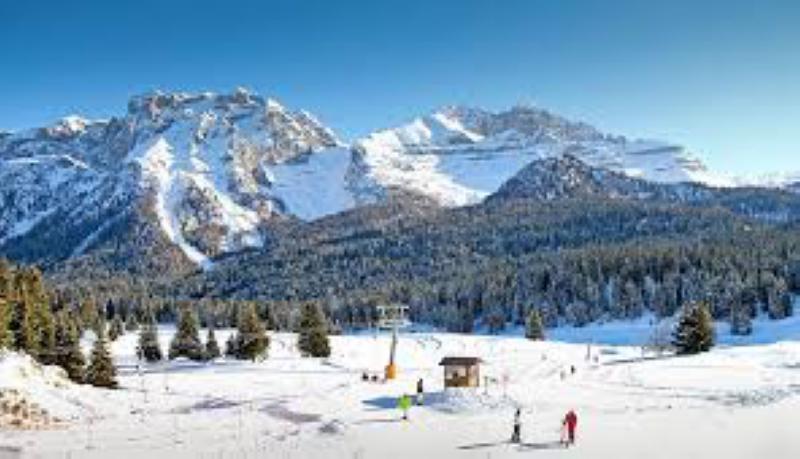 Details of Ski property in the Dolomites for sale by auction - itr32879