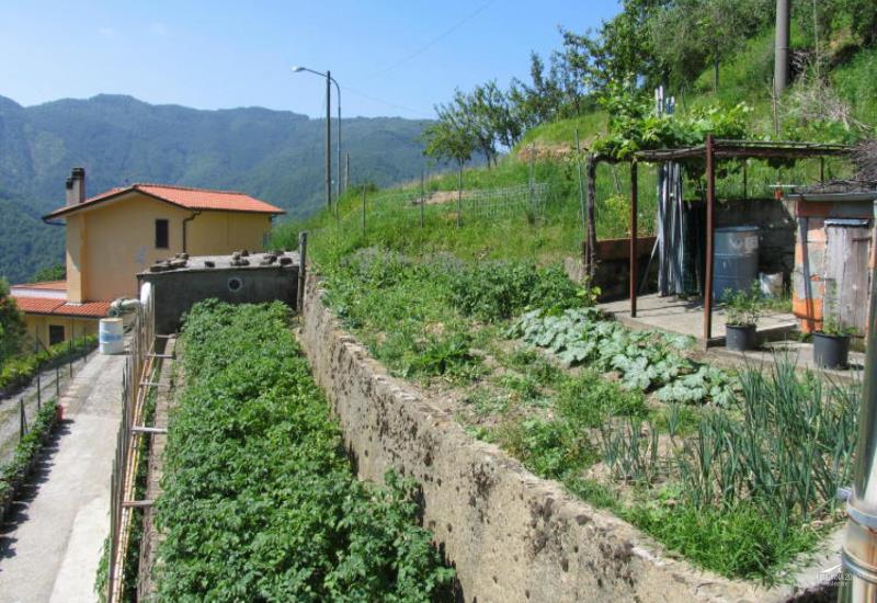 Detached house with land in a sunny position in Comano, Tuscany1577969794_cKfglbn_0OzkNFv itu36593-1577969794_cKfglbn_0OzkNFv.