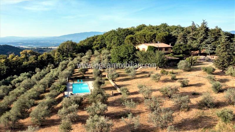Panoramic property for sale in Valdarno.14L2081IMG1 itu37425-14L2081IMG1.
