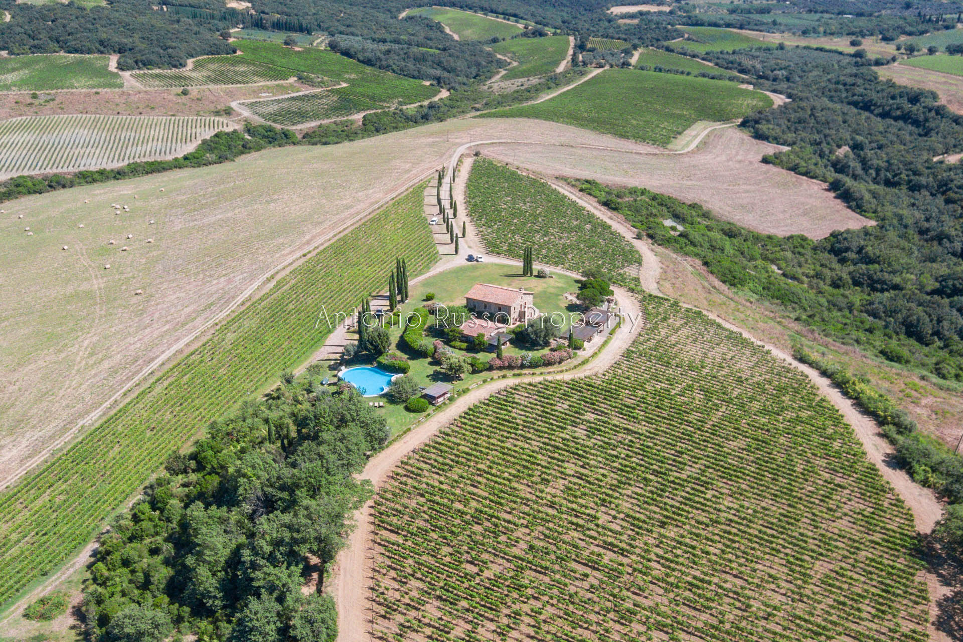 Charming farmhouse with Brunello vineyard for sale in Val d OrciaBrunello-di-Montalcino-1-1 itu38722-Brunello-di-Montalcino-1-1.
