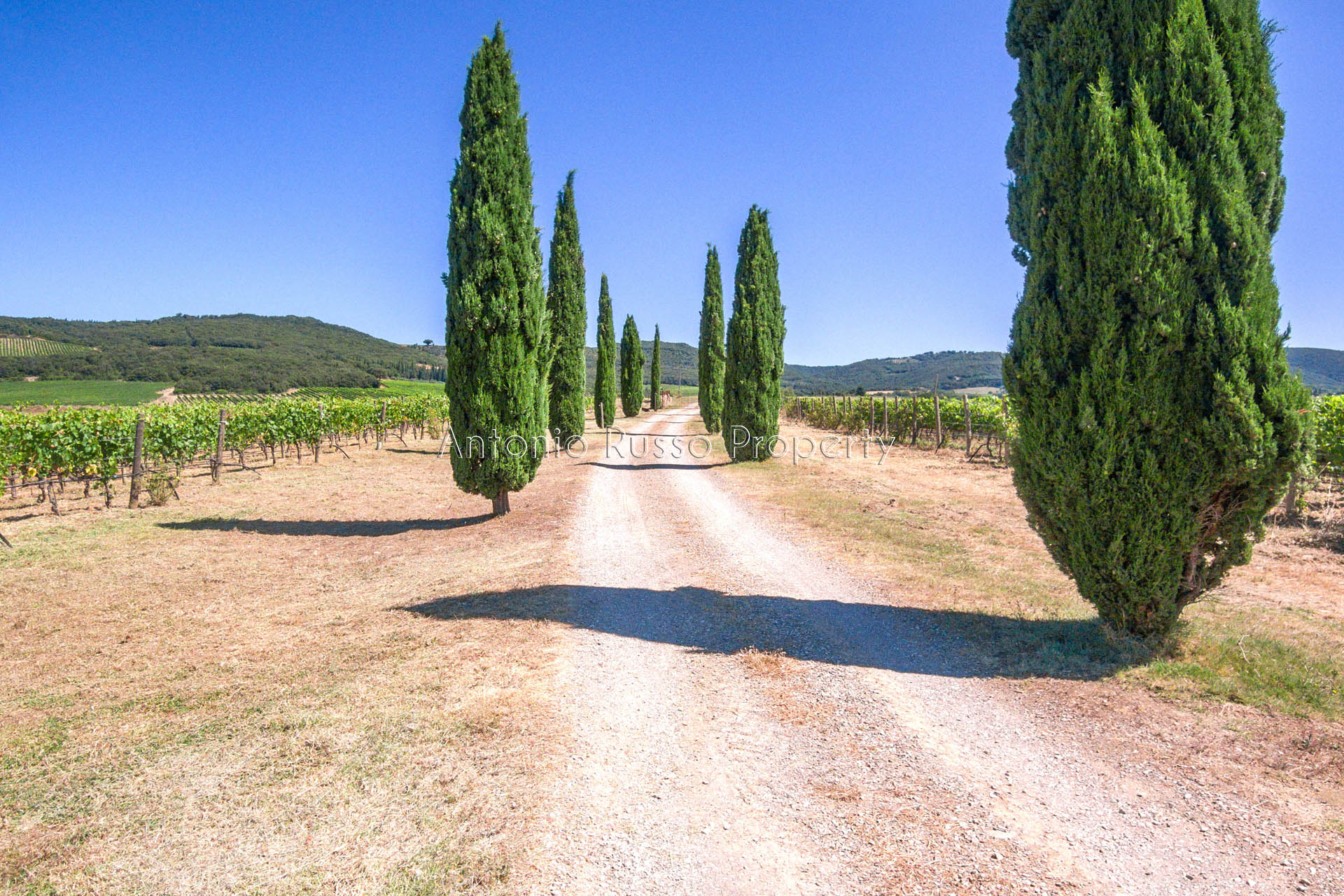 Charming farmhouse with Brunello vineyard for sale in Val d OrciaBrunello-di-Montalcino-34 itu38722-Brunello-di-Montalcino-34.