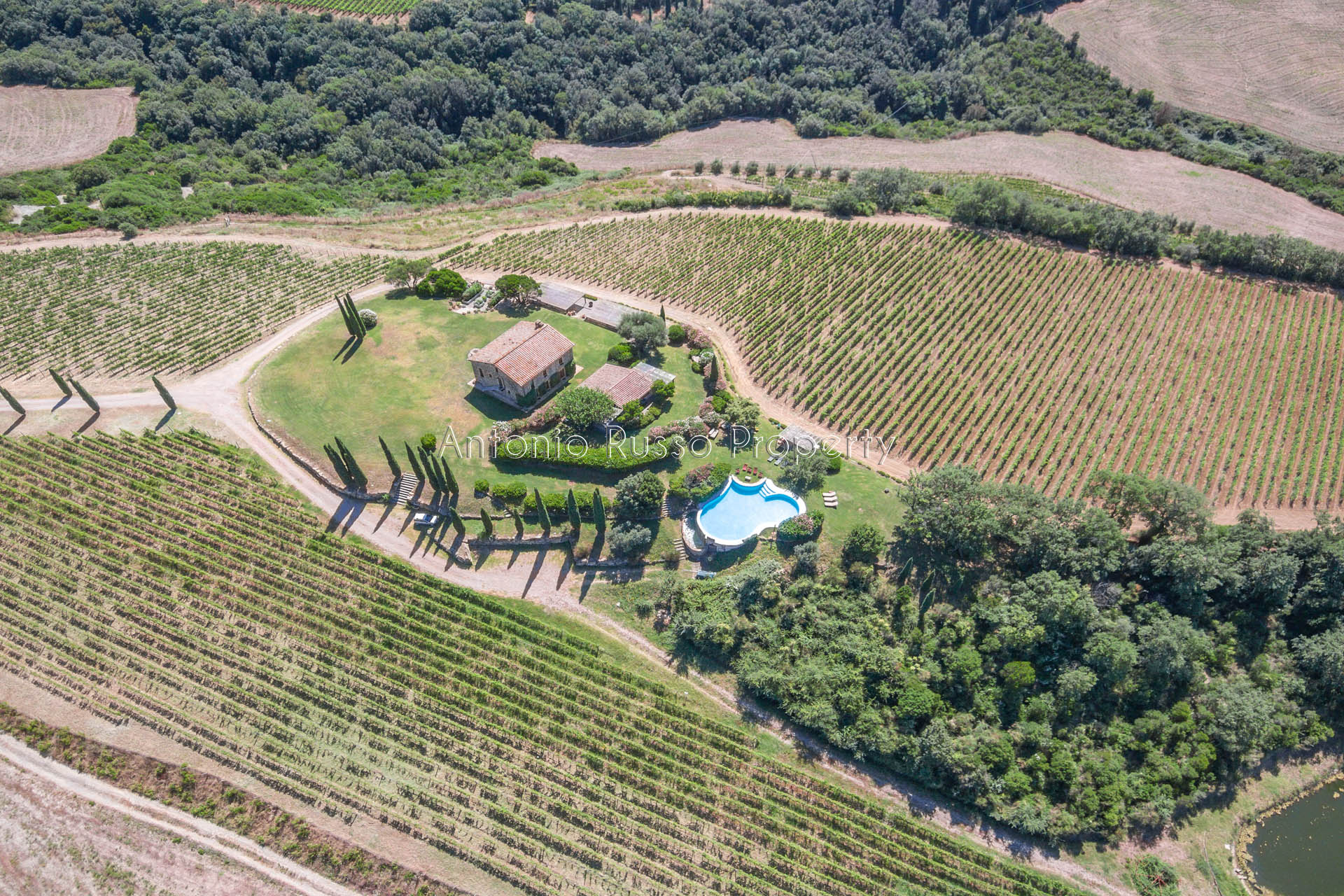 Charming farmhouse with Brunello vineyard for sale in Val d OrciaBrunello-di-Montalcino-5 itu38722-Brunello-di-Montalcino-5.