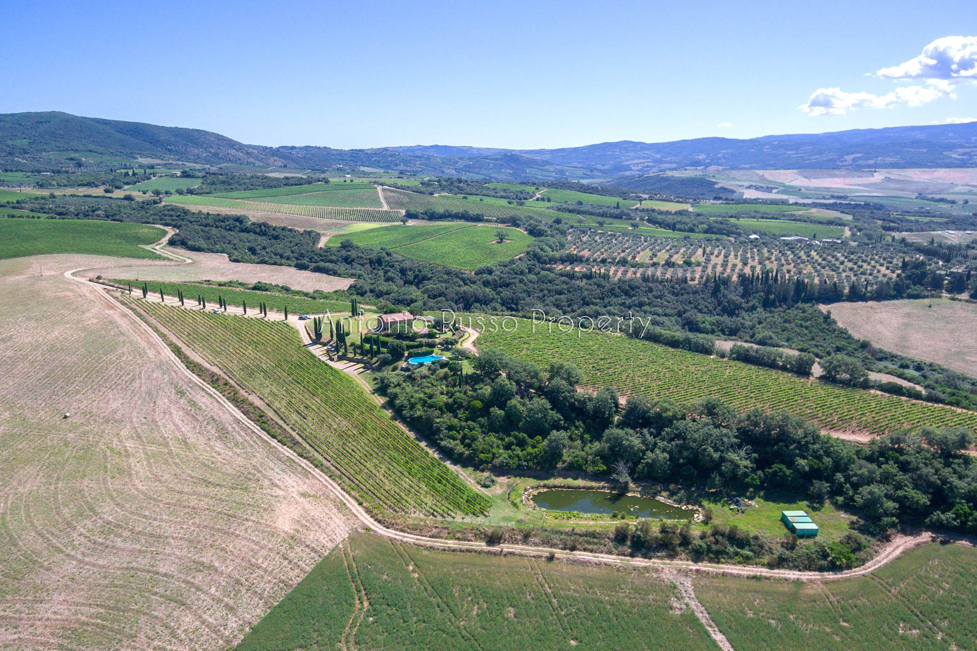 Charming farmhouse with Brunello vineyard for sale in Val d OrciaBrunello-di-Montalcino-6 itu38722-Brunello-di-Montalcino-6.