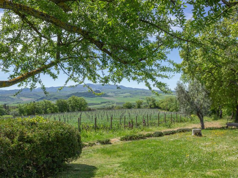 Charming farmhouse with Brunello vineyard for sale in Val d Orciar19   brunello di montalcino (25) itu38722-r19---brunello-di-montalcino-(25).