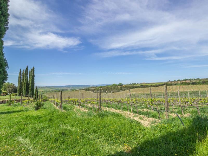 Charming farmhouse with Brunello vineyard for sale in Val d Orciar19   brunello di montalcino (32) itu38722-r19---brunello-di-montalcino-(32).
