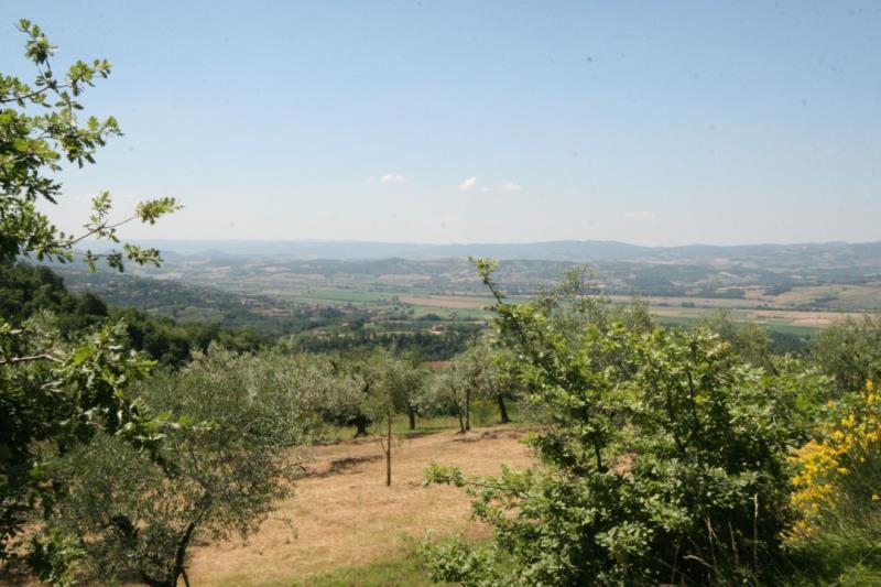 Property consisting of 2 ha of land and 2 independent villasg_202111011656496748 ium35513-g_202111011656496748.